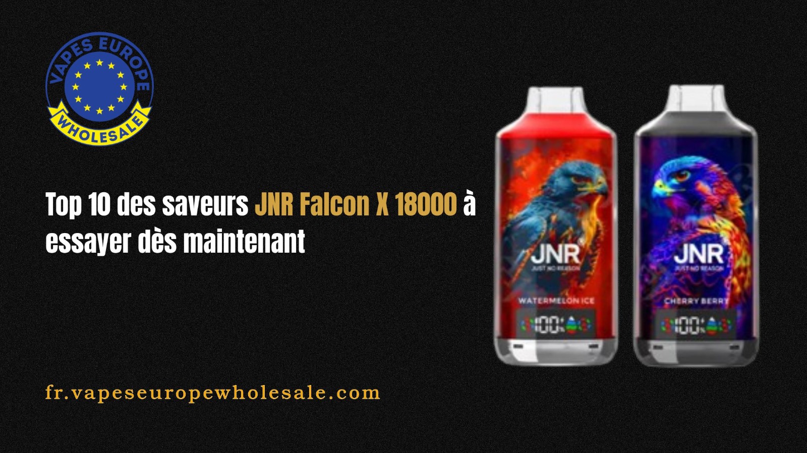 saveurs JNR Falcon X 18000
